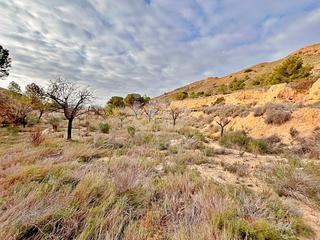 Residential Plot in Calle rochet 79 79