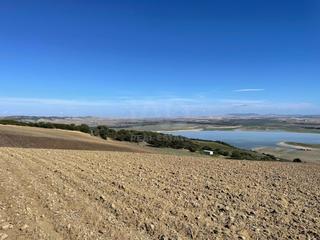 Residential Plot in Arcos de la Frontera