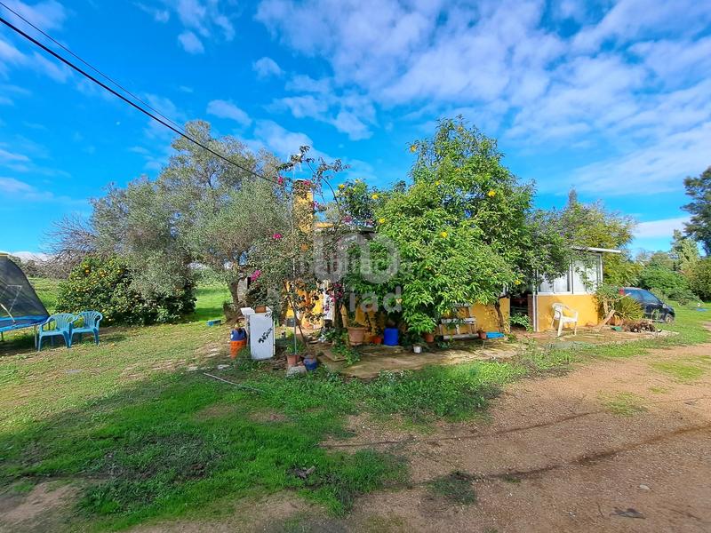 Foto 1b8a514e-37f0-4436-ab26-fdcf87021727. Casa in calle los barrancos 1 1 in Lepe