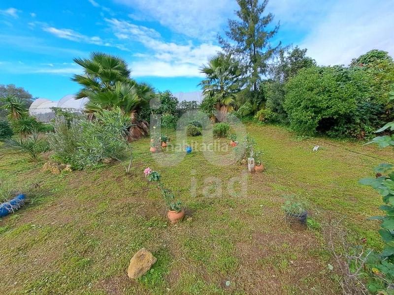Foto 5468420c-b173-47d6-abc9-7d15fe07769d. Casa in calle los barrancos 1 1 in Lepe