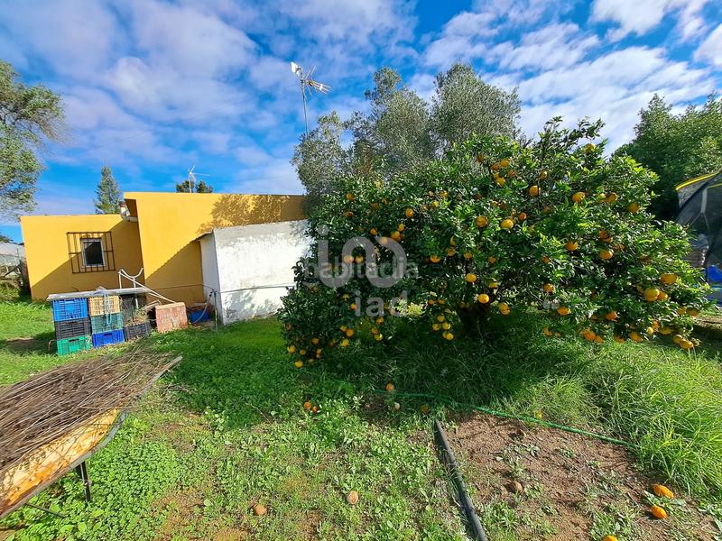 Foto 7d82b90b-70d3-43fa-a135-41c6c50960a7. Casa in calle los barrancos 1 1 in Lepe