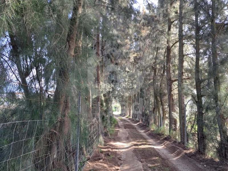 Foto b0ae75dd-43e9-43f9-80ec-6fbcfc80184a. Casa in calle los barrancos 1 1 in Lepe