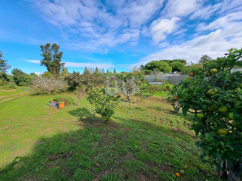 Foto bb67f08e-bb49-4257-879f-1a0d76ff29a6. Casa in calle los barrancos 1 1 in Lepe