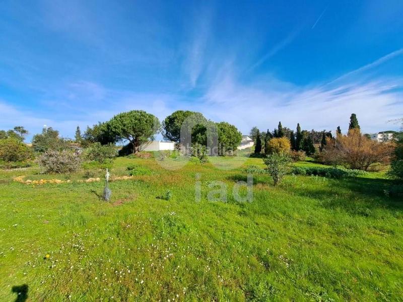 Foto caa94c66-2308-4ec1-a986-369a9ff8e10d. Casa in calle los barrancos 1 1 in Lepe