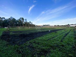 Terreno residenziale in O monte 27 27