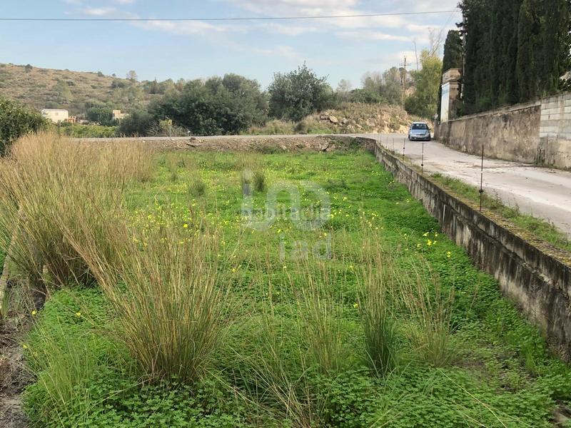 Foto 6018348d-9626-4b60-ba1d-48c11f08420d. Terreny residencial a La Xara-La Sella Dénia
