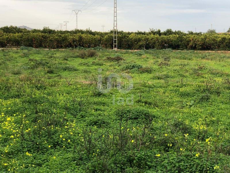Foto 66383bbe-8067-48d9-aba8-98e9662d645d. Terreny residencial a La Xara-La Sella Dénia