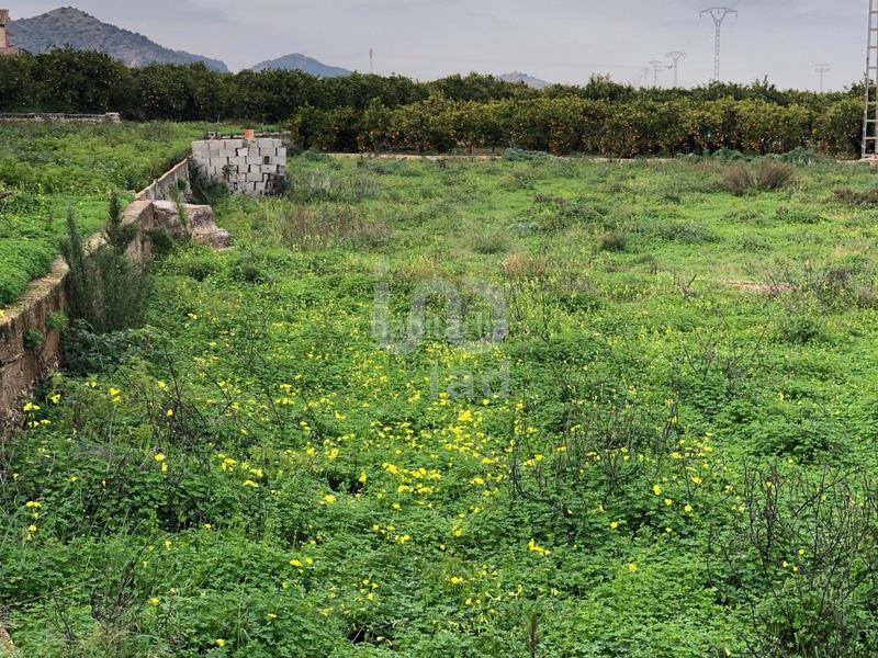 Foto c1870f20-8020-494d-a47b-0c19c6046723. Terreny residencial a La Xara-La Sella Dénia