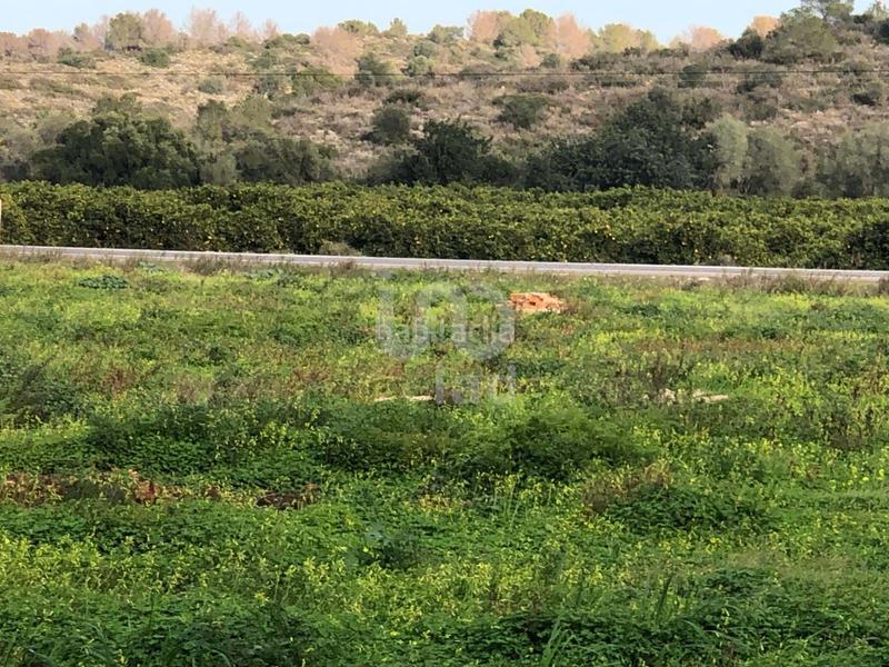 Foto d06b8fc8-299d-499f-a634-75f11366e551. Terreny residencial a La Xara-La Sella Dénia