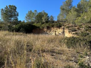 Residential Plot in Olivella