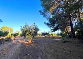 Residential Plot in Urbanización sn sn sn