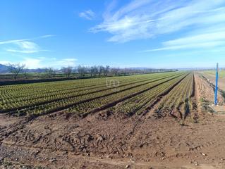 Residential Plot in La Magdalena - Molinos Marfagones