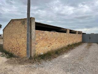 Local Comercial a Camino polígono 22 parcela 57 vergez. deltebre (tarragona) 22 2