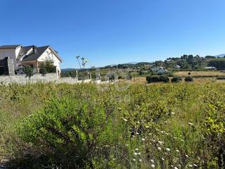 Residential Plot in Calle carrabocha sn sn