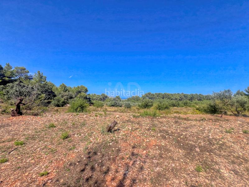 Foto 4285b316-e999-4ab8-b34c-c72e6fb89e66. Terreno residenziale in Murla