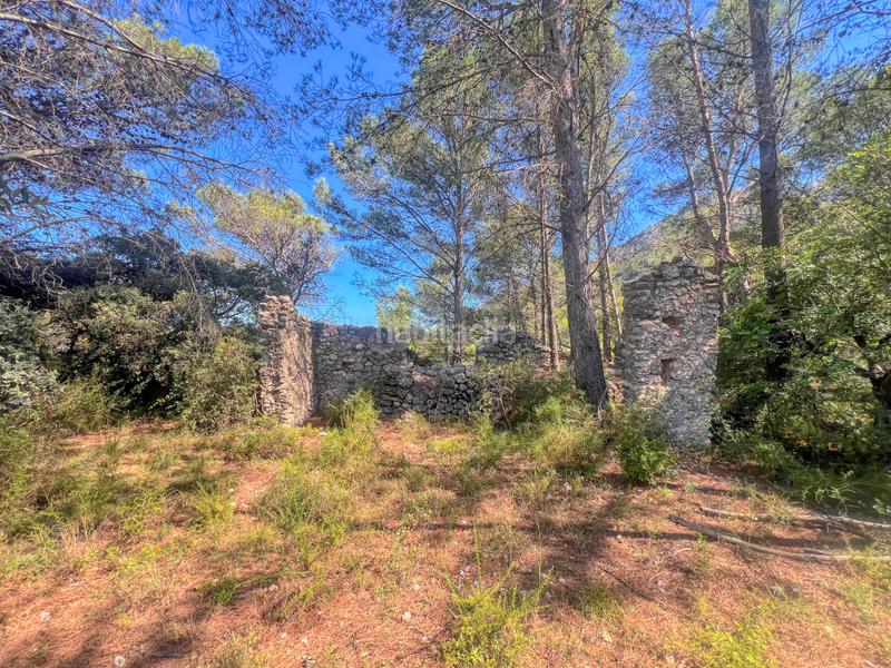 Foto 6e9b1f58-fd69-4f97-ada5-2b54de957e8e. Terreno residenziale in Murla