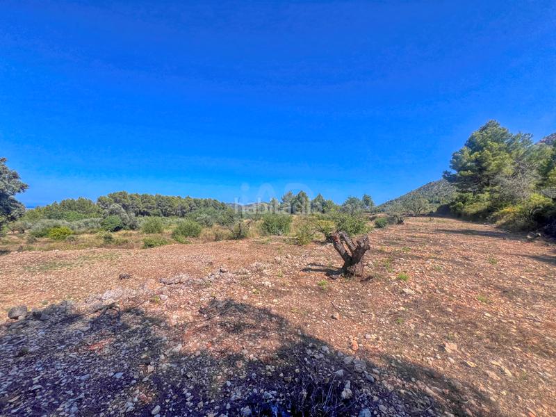 Foto 76439de6-e993-4f05-8449-16904c84eee7. Terreno residenziale in Murla