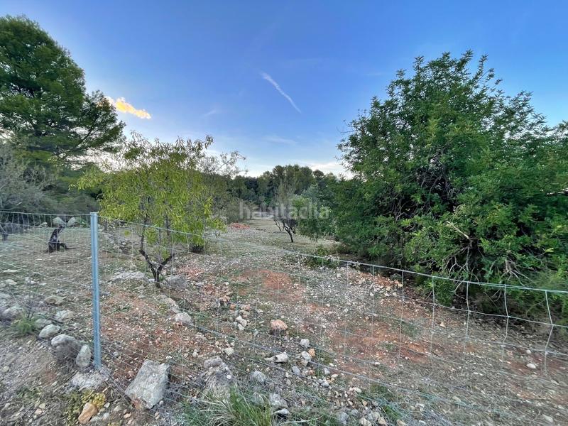 Foto 8ce28a1d-6c7b-4550-95d5-7210c3c535b0. Terreno residenziale in Murla