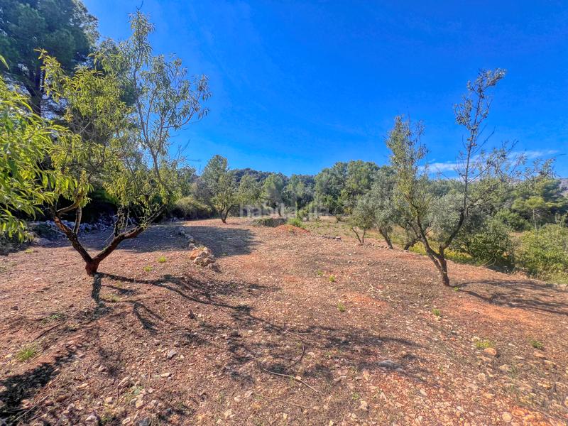 Foto 8f2c885b-3a26-4979-a7aa-27b4ee09d2d4. Terreno residenziale in Murla