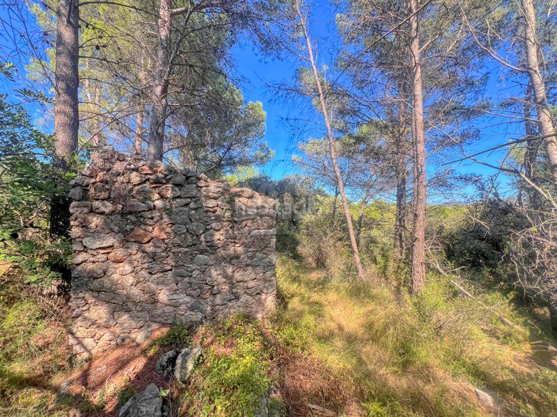 Foto 93aa8080-5dc0-461d-8fcf-8e8552743d39. Terreno residenziale in Murla