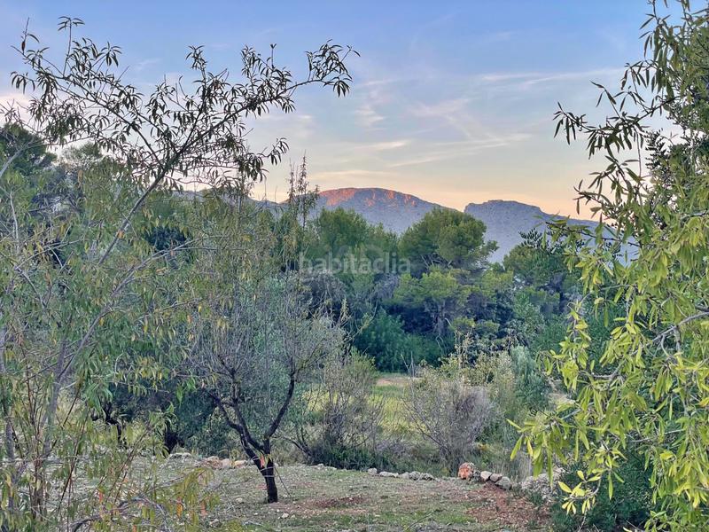 Foto b58ab057-19fd-43a6-95b4-c093465210f5. Terreno residenziale in Murla