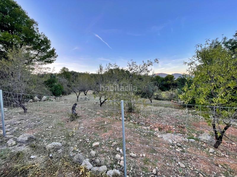 Foto df6d0763-050f-4648-9b55-997d5fb396bd. Terreno residenziale in Murla
