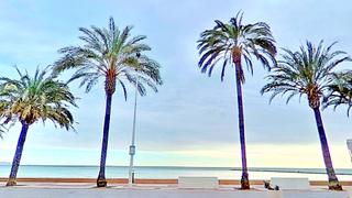 Maison à Calle carrer de sant vicent 71 71