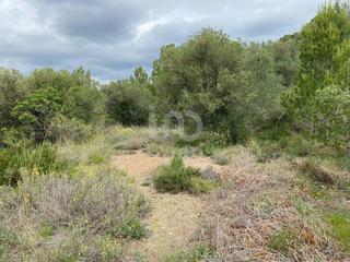 Residential Plot in Castellvell del Camp