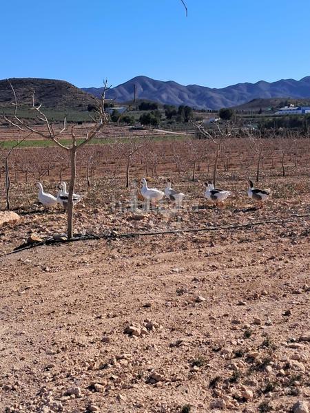 Foto cfbf00e9-b2ab-417d-a311-ebb44ac16a94. Casa in Bejar Lorca