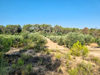 Terreno residenziale in Alameda les rives, poligonon 3 parcela 24 pl.3pr.24 pl.3pr.24