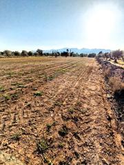 Residential Plot in Alameda les planes. poligono 10 parcela 106 pl.10pr106 pl.10pr1