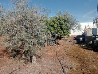 Terreny residencial a Cañada Rosal