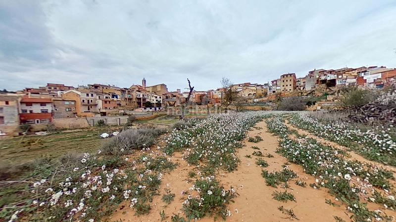 Foto 2eba47f9-c222-4068-bee7-32cc3492c631. Casa a calle penal 11 11 a Cervià de les Garrigues