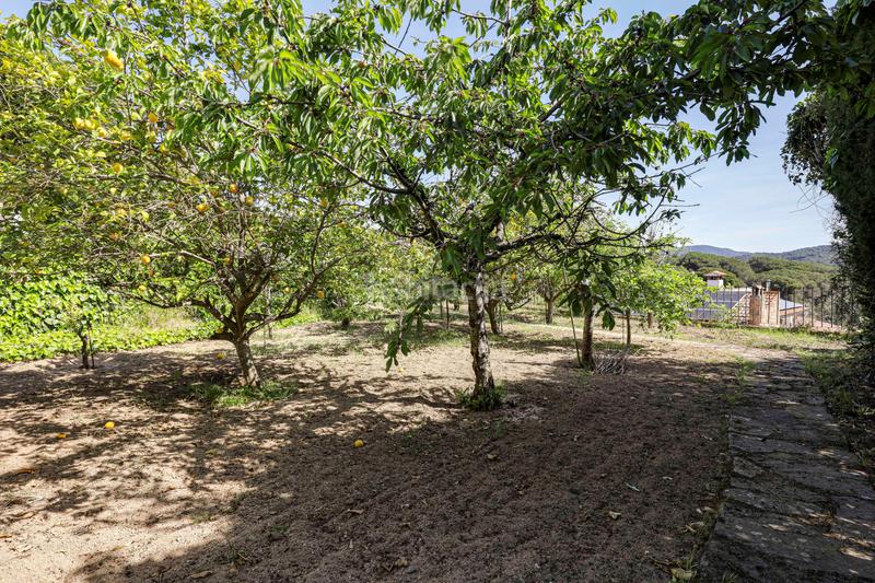 Foto 692efb7d-7c08-4360-afa0-615928b579b2. Wohngrundstück in Condado del Jaruco - Puigventós Lloret de Mar