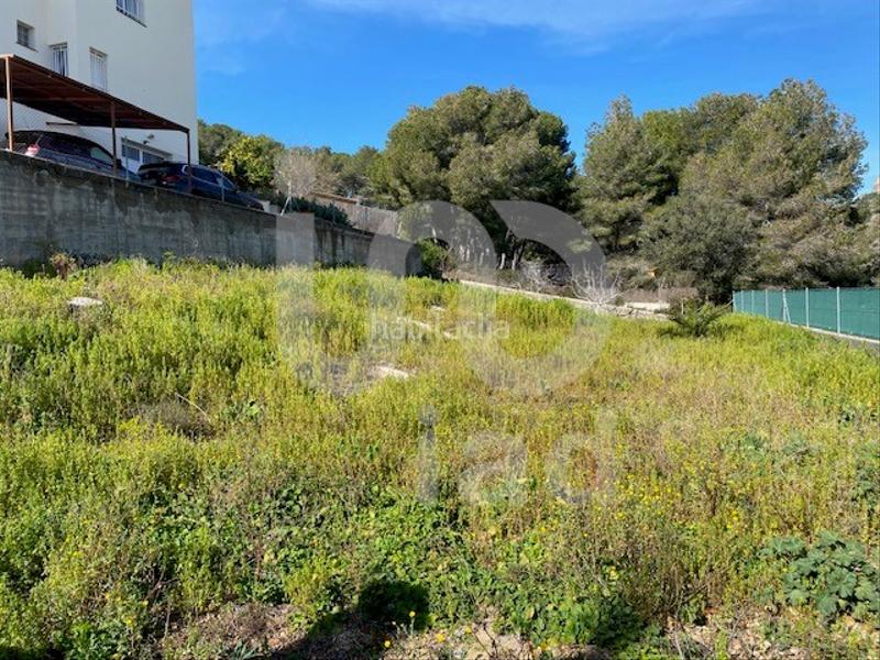 Foto c75c491f-ad0b-430c-a8b7-ee12128d49a2. Wohngrundstück in Mas Borràs-Coto del Rey Vendrell (El)