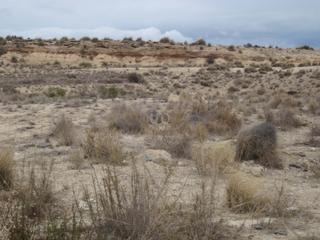 Residential Plot in Centro