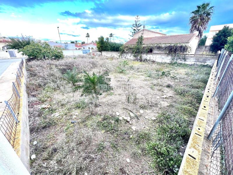 Foto de24db00-c48f-4e28-8ebd-d3c1aa09977c. Terreny residencial a calle bequessina 14 14 a Eucaliptus - Poble Nou del Delta Amposta