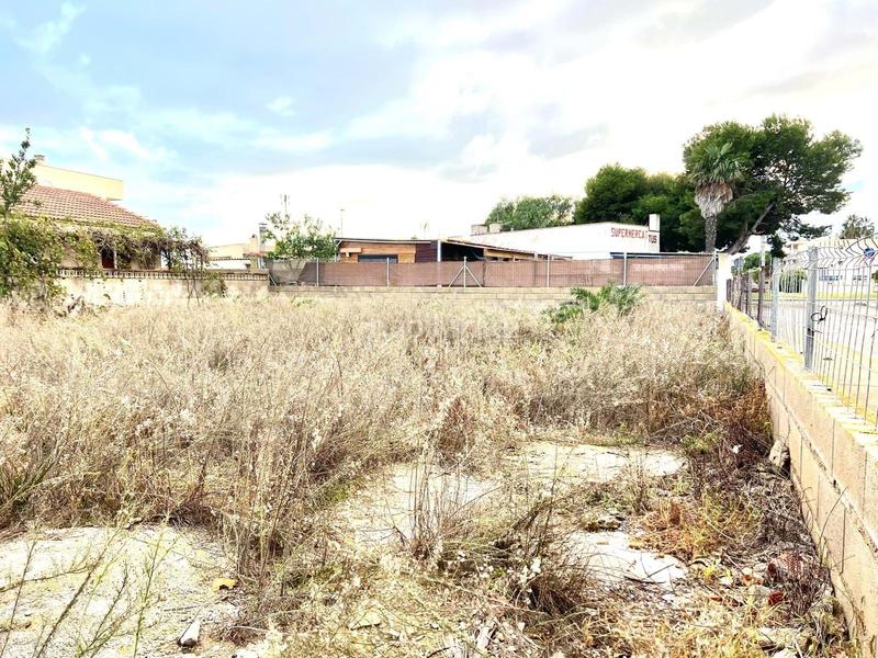 Foto 7432e01a-89bf-4b24-b8f4-bb66f7dd5578. Residential plot in calle bequessina 14 14 in Eucaliptus - Poble Nou del Delta Amposta