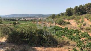 Terreny residencial a Montmell (El)