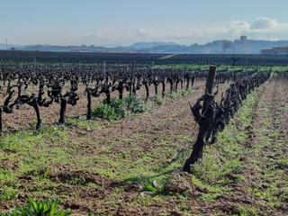 Wohngrundstück in Calle llevant 2 2