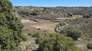 Terrain résidentiel à Calle fuente del lobo 10 10
