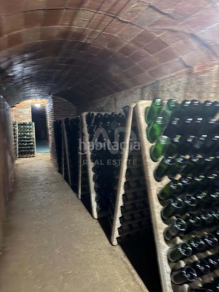 Foto ec05c23d-f223-4e91-b8b2-7b8179eccb34. Local commercial dans calle carrer sant cristòfol 4 4 dans Masnou (El)