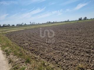 Residential Plot in Sant Jaume d´Enveja