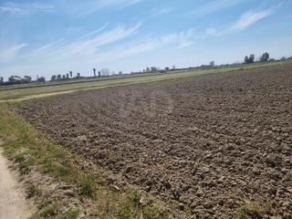 Terreno residenziale in Sant Jaume d´Enveja