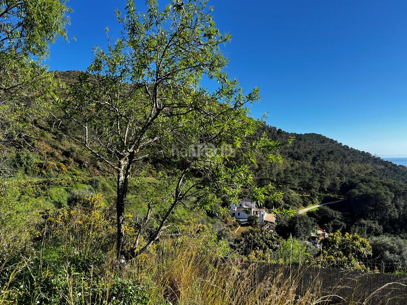 Foto ef46d13a-c80b-4352-bede-df4dd97dadad. Casa en Ojén