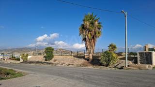 Rent Residential Plot in El Río