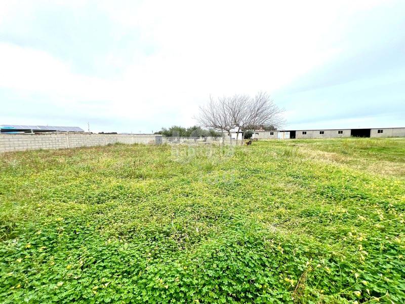 Foto 1de62bc3-dea6-4d79-a3c6-958bfd21d127. Terreno residencial en alameda poligono 37 parc 37 37 37 en Vinaròs