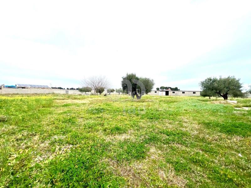 Foto 1ec595b5-0348-4bcf-9e44-1366d20edc7b. Terreno residencial en alameda poligono 37 parc 37 37 37 en Vinaròs