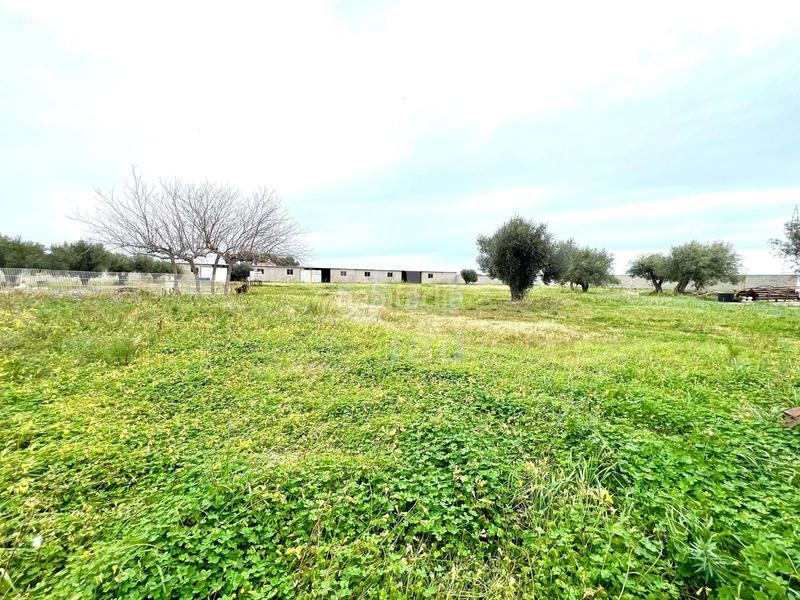 Foto 7e1bd427-8909-45ab-8dea-79b8cc9d0d70. Terreno residencial en alameda poligono 37 parc 37 37 37 en Vinaròs