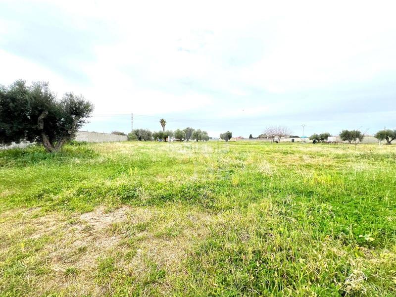 Foto f813e726-8ce3-4fb3-a677-d225c0ee9361. Terreno residencial en alameda poligono 37 parc 37 37 37 en Vinaròs